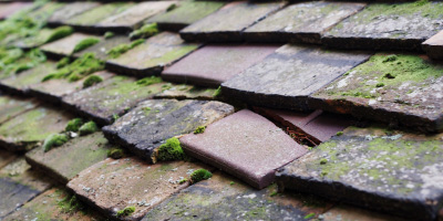 Sonning roof repair costs